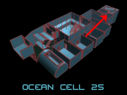 Cell 25