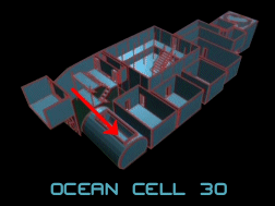 Cell 30